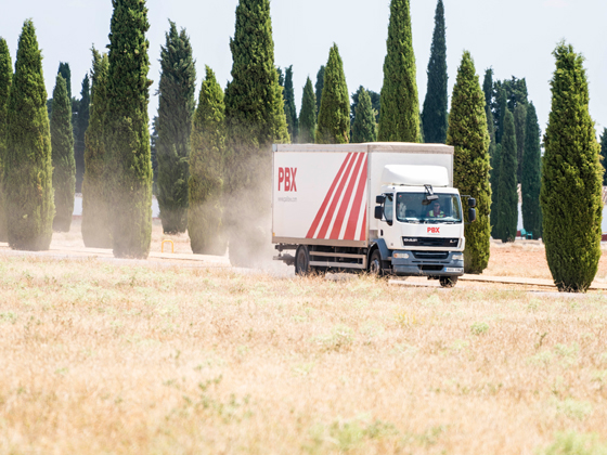 Palibex-Transporte Urgente en Sevilla-Cayco