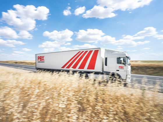 Palibex- Empresa de transporte en Alicante -European System Express