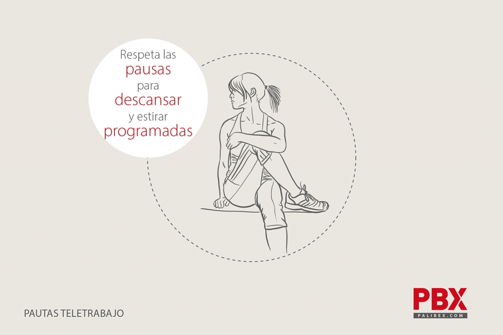 Teletrabajo - pautas teletrabajo - teletrabajo palibex - transporte urgente