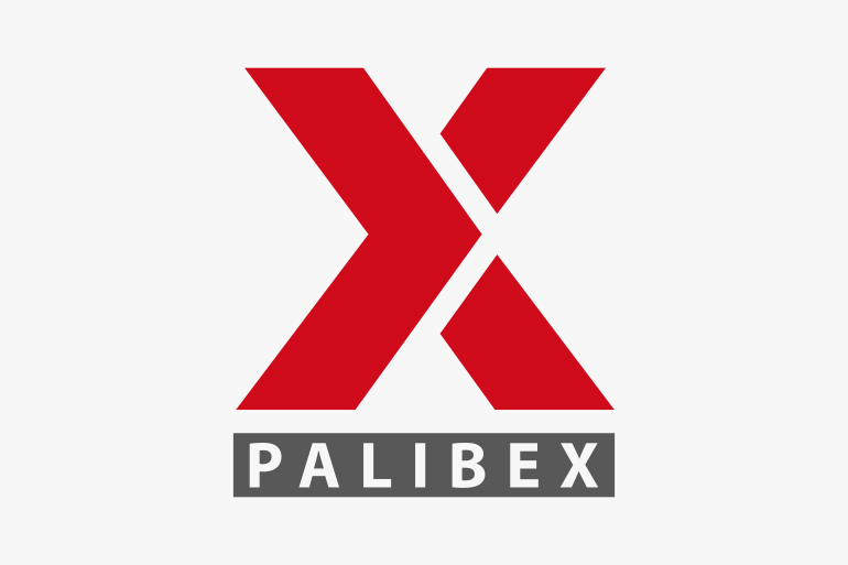 palibex - x aniversario - logo