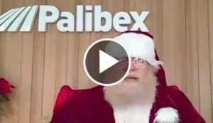 papa noel - palibex