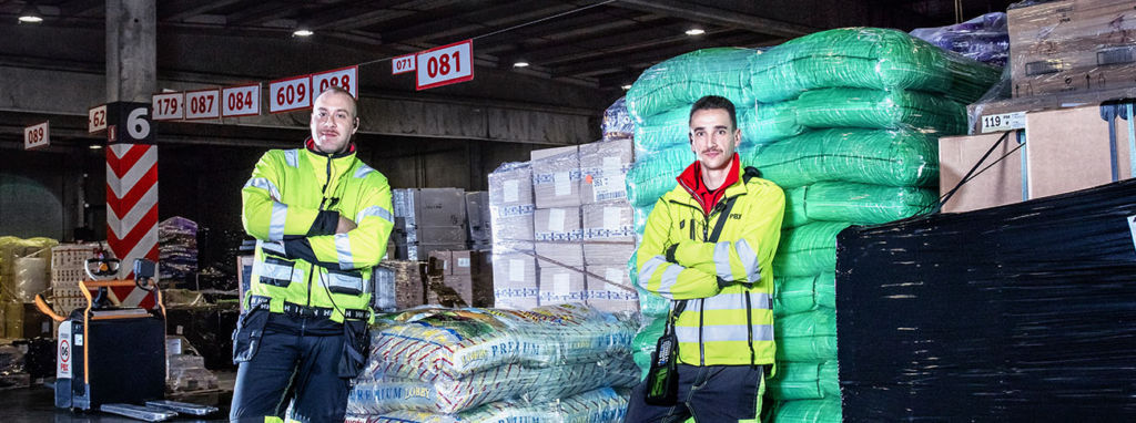 movember 2022 - bigote movember - palibex