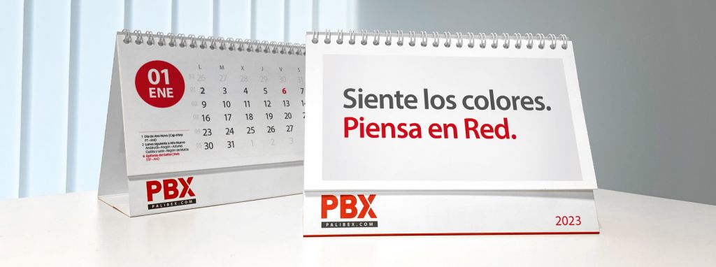 campaña decimo aniversario - palibex