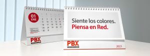 campaña decimo aniversario - palibex