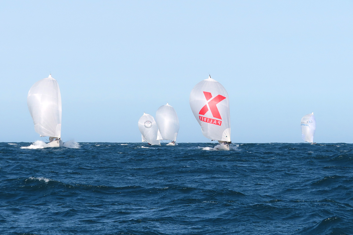 trofeo J80 - pbx sailing team - palibex