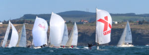 trofeo J80 - pbx sailing team - palibex