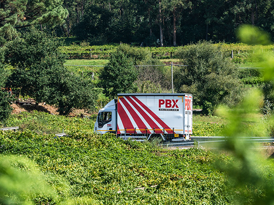 transporte urgente en tudela - palibex tudela