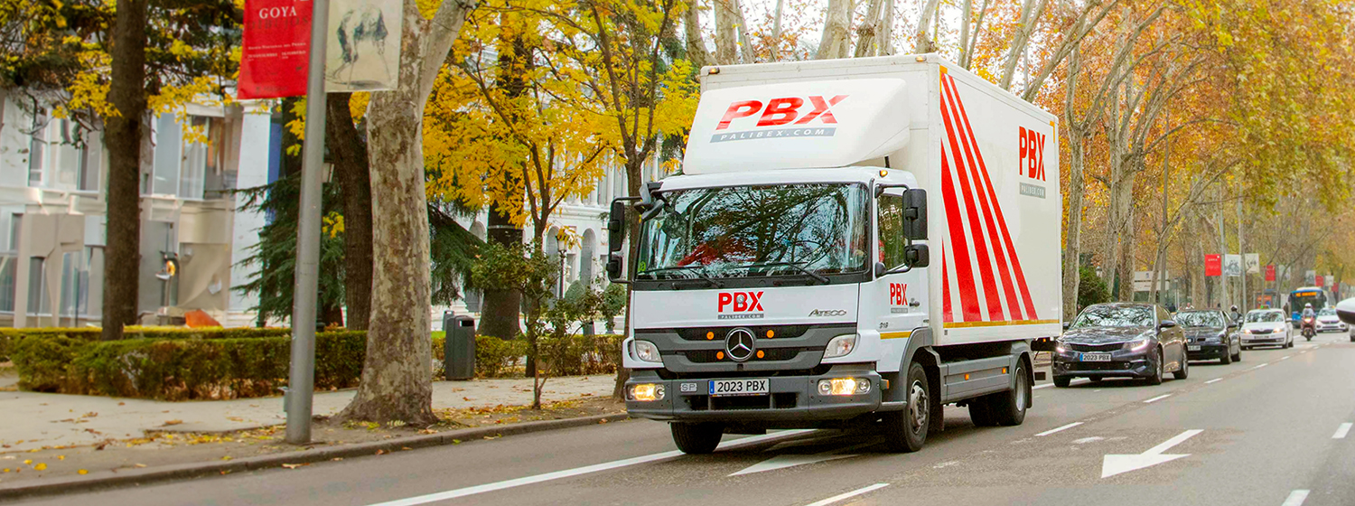 Pallet delivery services Spain - palibex