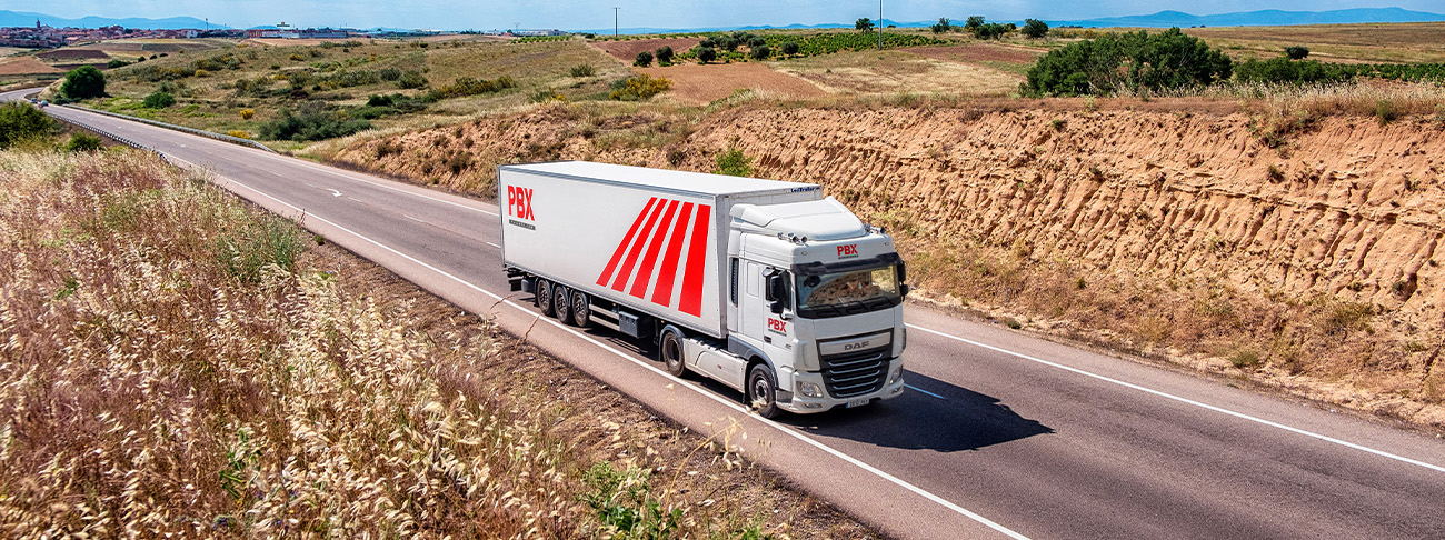 Efficient pallet transport services-spain - palibex - 03