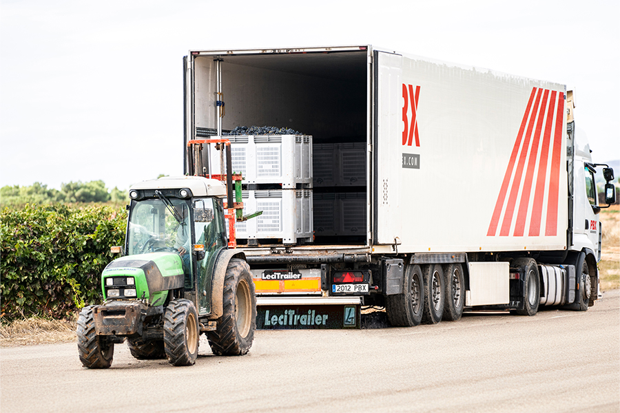 especialista transporte vino-premios t del vino 2025-tapas-mejores-vinos-espana - 