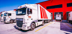 oportunidad de negocio - empresa transporte palets - palibex