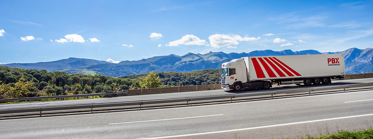 red transporte palets alicante-european express - palibex -01