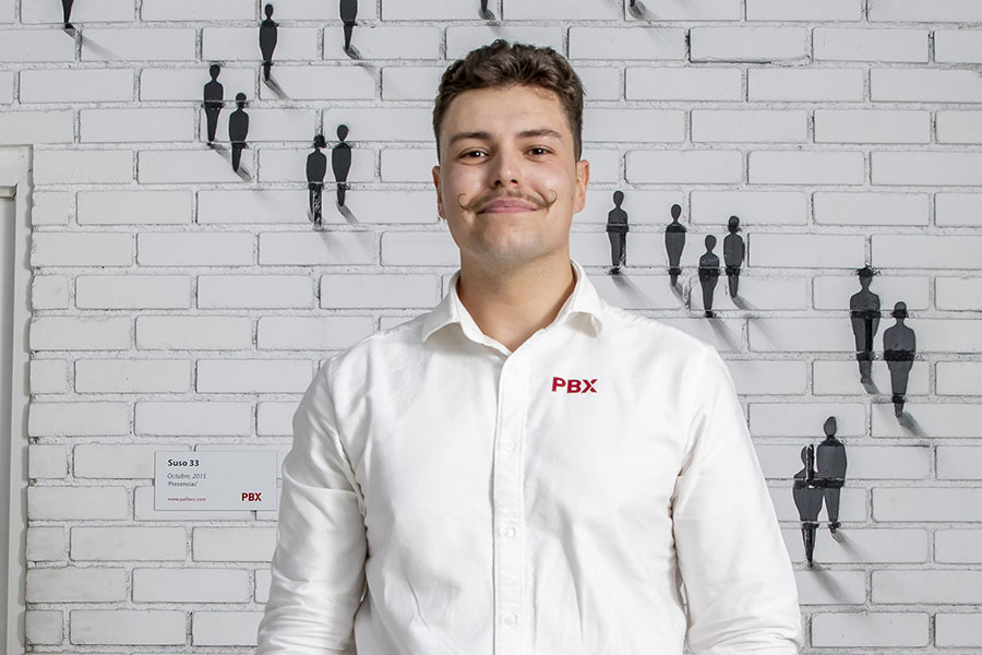 tipos de bigote movember - palibex- movember 2025 - bigote ingles