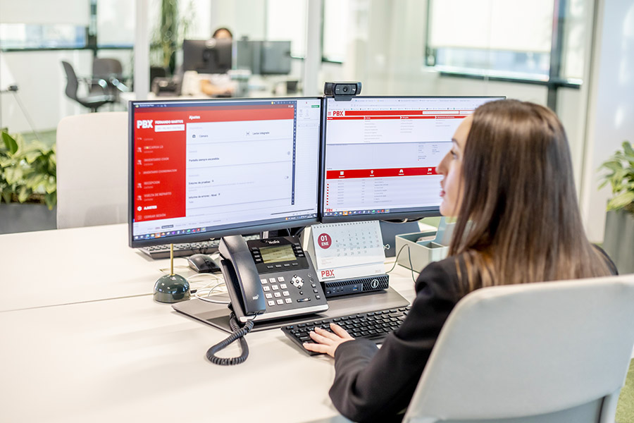 express pallet delivery Spain - palibex