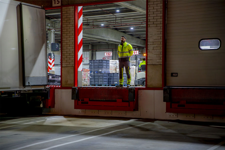 protocolos seguridad logistica-guillermo cagigas - palibex1
